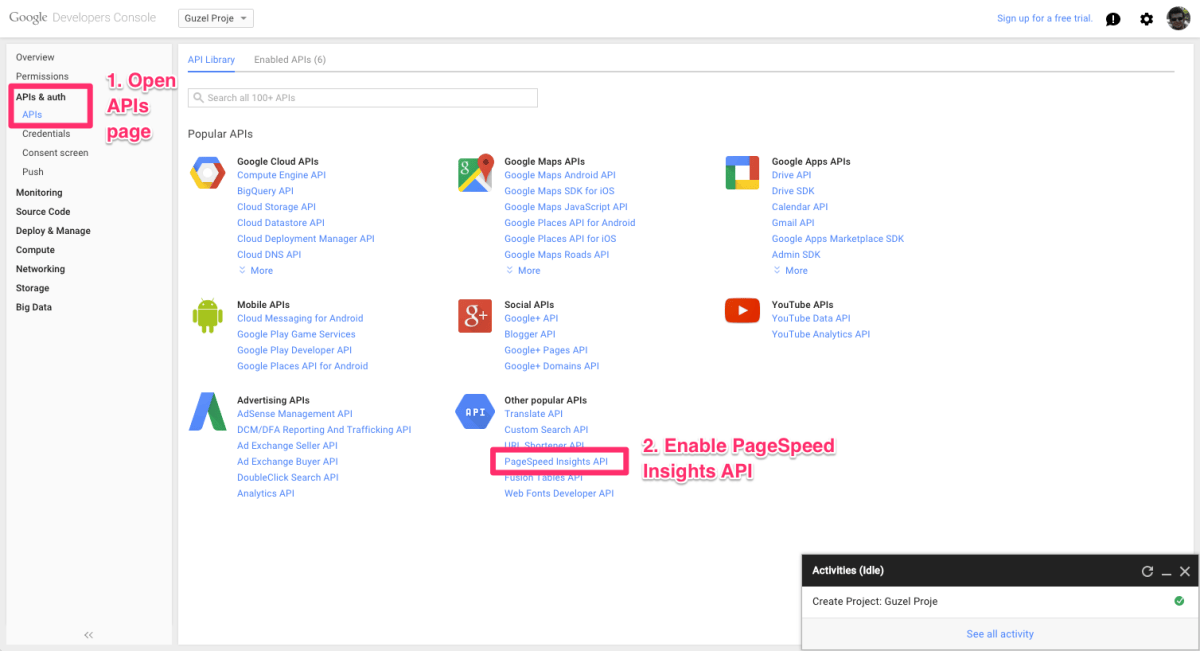 Enabling Pagespeed Insights API